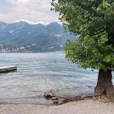 Al Cottage Oliveto Lario ภายนอก รูปภาพ