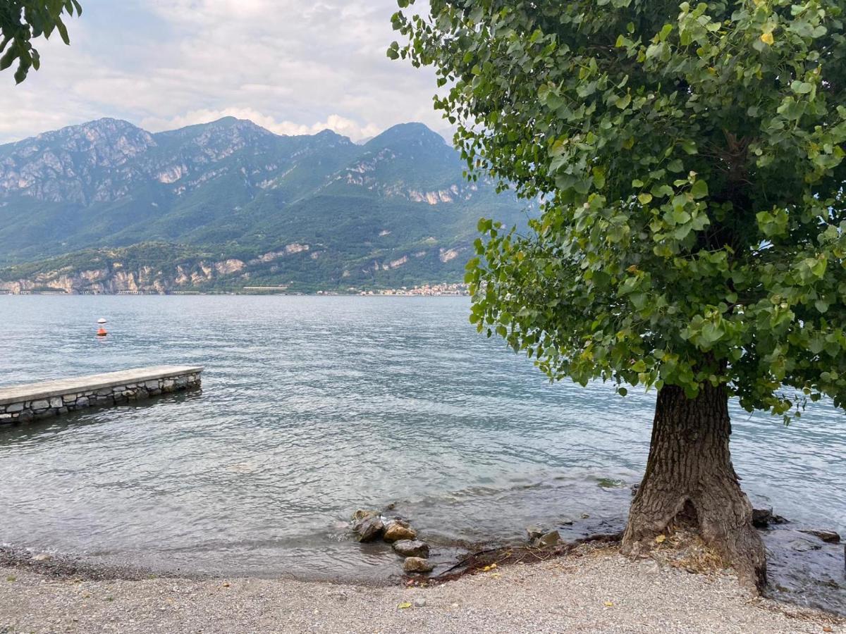 Al Cottage Oliveto Lario ภายนอก รูปภาพ