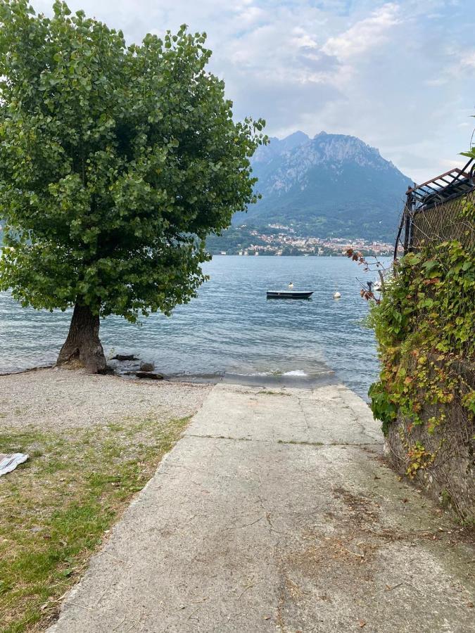 Al Cottage Oliveto Lario ภายนอก รูปภาพ